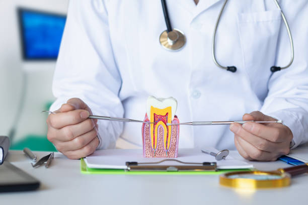 Best Emergency Dental Services for Seniors in West Allis, WI